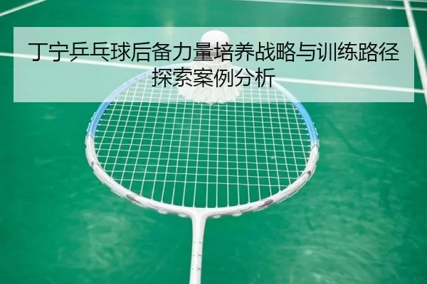 丁宁乒乓球后备力量培养战略与训练路径探索案例分析